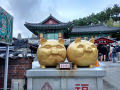 -海东龙宫寺