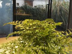 -野蔓果·山野菜(西湖景区·龙井茶田店)