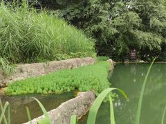 -成都市活水公园