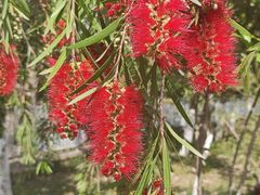 -沙河三洞古桥公园