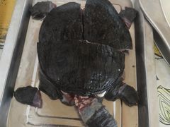 -大连海鲜斑鱼火锅(安平店)