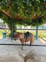 -萌宠亲子动物乐园(槐房万达店)