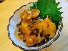 朝鲜海螺片-村上一屋·亚洲菜融合小馆(南楼店)