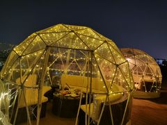 -顽啤熊·酒客酒馆(苏城夜景必选店)