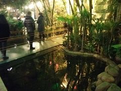 -大鹅岛绿色生态美食园