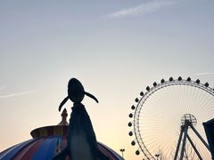 -海合安武汉极地海洋公园