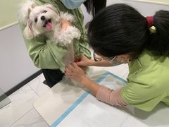 -艾吉宠物医院·疑难杂症转诊中心·猫友好(碧江路院)