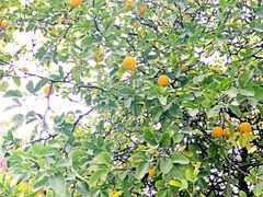 -文艺复兴百货(米兰大教堂广场店)