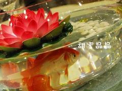 -紫阳家宴(源深店)