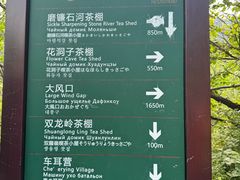 -阳台山自然风景区