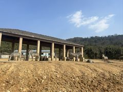 -杭州野生动物世界
