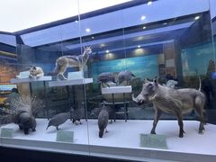 -国家自然博物馆