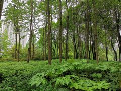 -苏州河梦清园环保主题公园