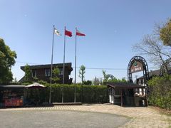 -金山农民画村-枫泾波兰倒置屋
