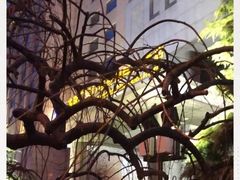 -北京广安门维景国际大酒店