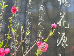 -桃花涧