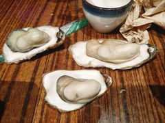 -蚝堡海鲜·威海菜·海肠捞饭·烧烤·亚洲吃蚝公司(幸福门店)