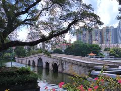 -荔湾湖公园