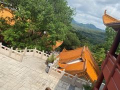 -深圳仙湖植物园