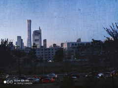 -国际咏春拳联合会拳馆俱乐部