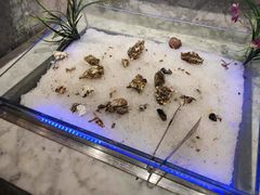 -火锅岛潮牌自助餐厅(天津天佑城店)