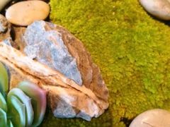 -三利音·浦之舟(滨江大道店)