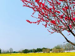-蜀绣公园