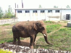 -西安秦岭野生动物园