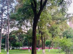 -东北大学(南湖校区)