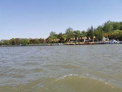 -溱湖国家湿地公园