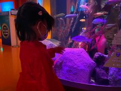 -沈阳海洋探索中心