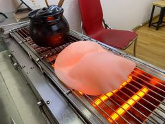 -内涵饵块