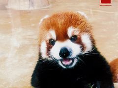 -杭州野生动物世界