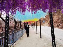 -爱情山风景区