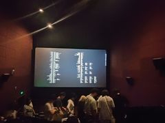 -SFC上影百联影城(川沙IMAX店)