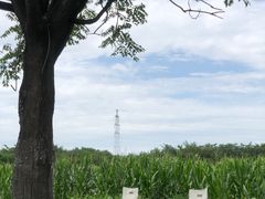 -汉长安城未央宫国家考古遗址公园