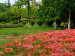 -白塘生态植物园