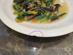 -金鼎轩(方庄天坛店)