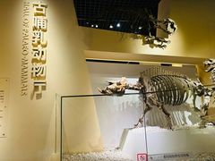 -国家自然博物馆