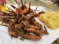 -阿锋鲍鱼酒家美食汇(华安店)