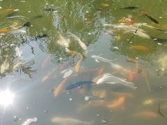-南阳卧龙岗武侯祠