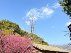 -苏州上方山国家森林公园