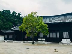 -荔湾湖公园