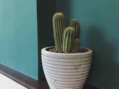 -So Acai(天河店)