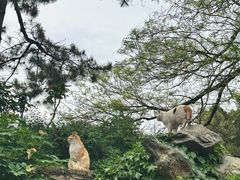 -颐和园