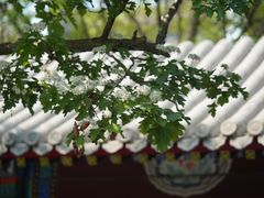 -莲池书院博物馆