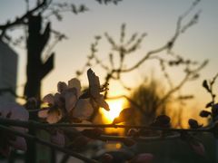 -廊坊文化艺术中心