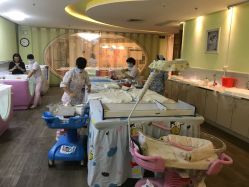 -生命加•Q考拉月子会所(玫瑰园店)