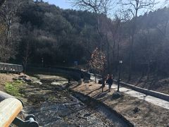 -白水寺森林公园