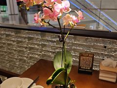 -小户人家(循礼门南国中心店)